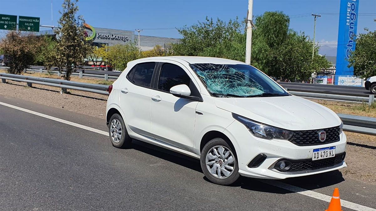 El conductor del Fiat que embistió a la mujer de 73 años, dijo que trató de esquivarla cuando vio que se lanzó a cruzar el Acceso Sur.