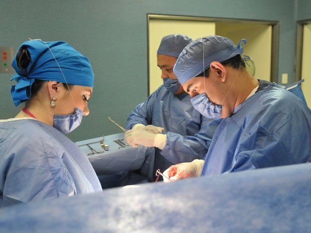 En Argentina se hacen un promedio de 300 trasplantes por mes.