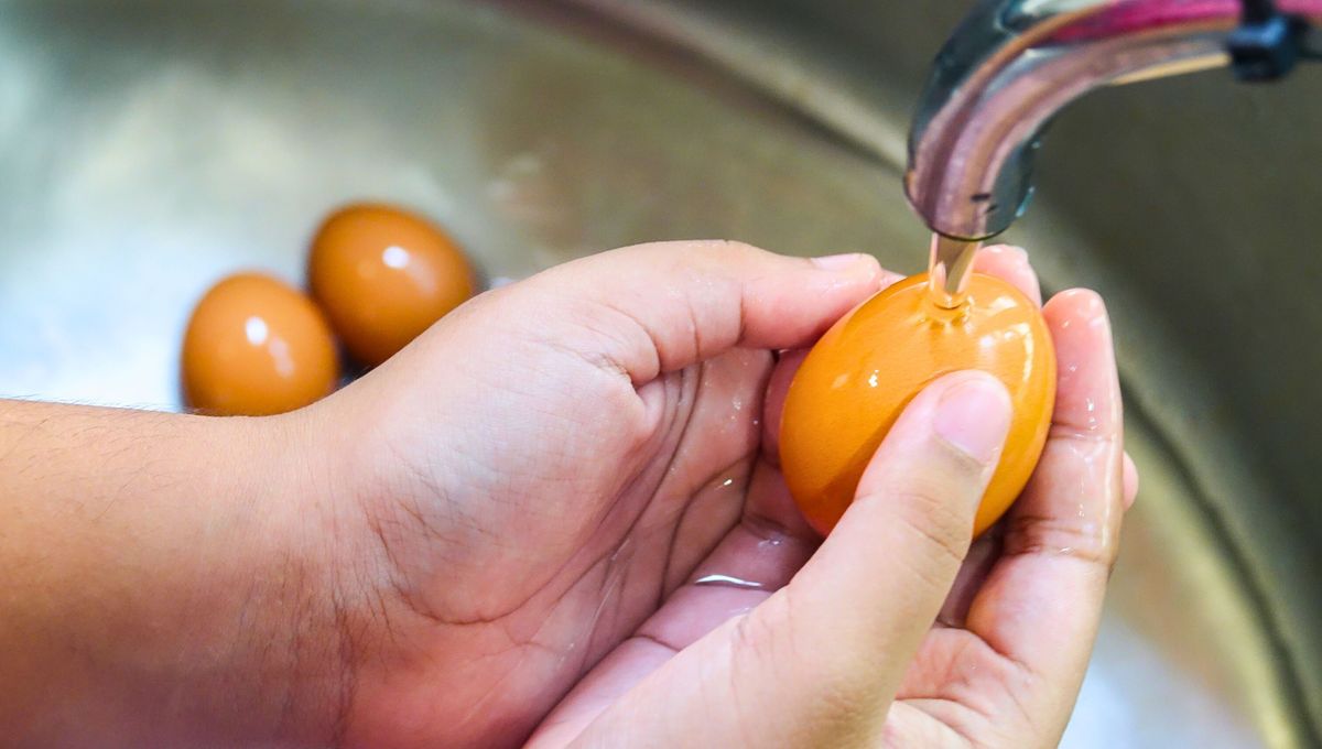 Cu&aacute;l es la forma correcta de lavar y guardar los huevos.&nbsp;