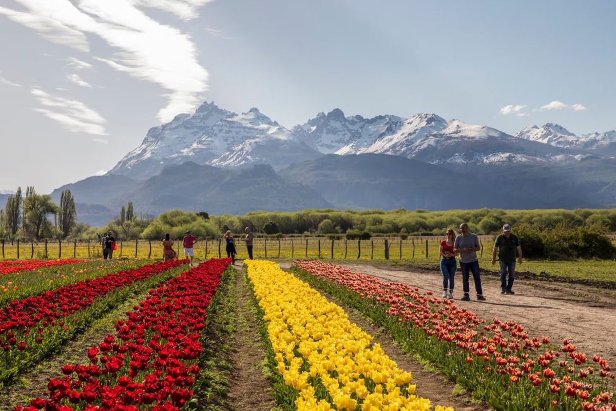 Trevelin, el pueblo de la Patagonia que enamora. Foto: gentileza&nbsp;