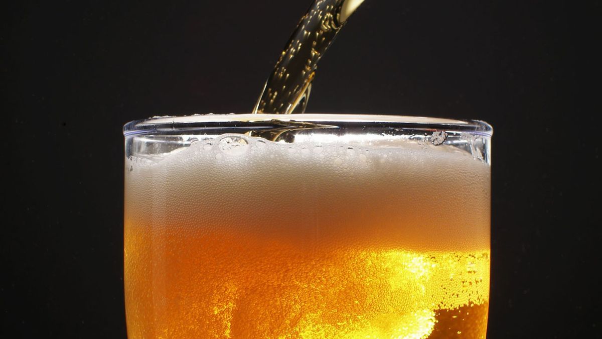 Es recomdable tomar cerveza, ¿cuál es la opinión de Harvard? Es recomdable tomar cerveza, ¿cuál es la opinión de Harvard?