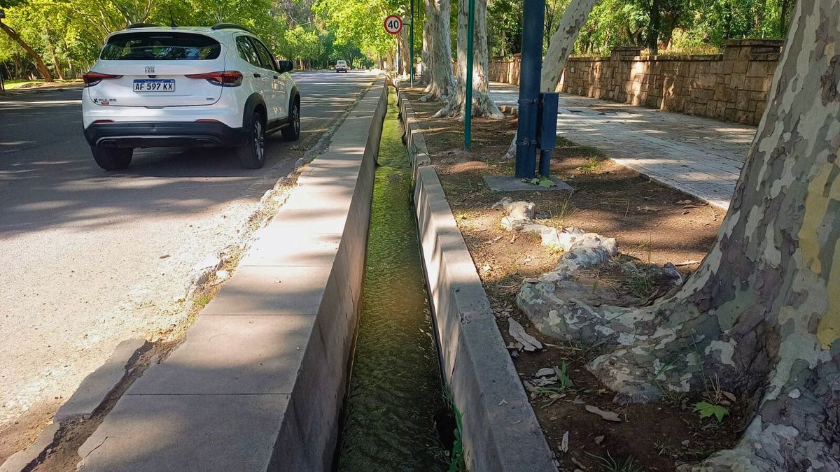 Una imagen de una acequia en el Parque General San Martín, sin dudas el lugar más visitado por los turistas.