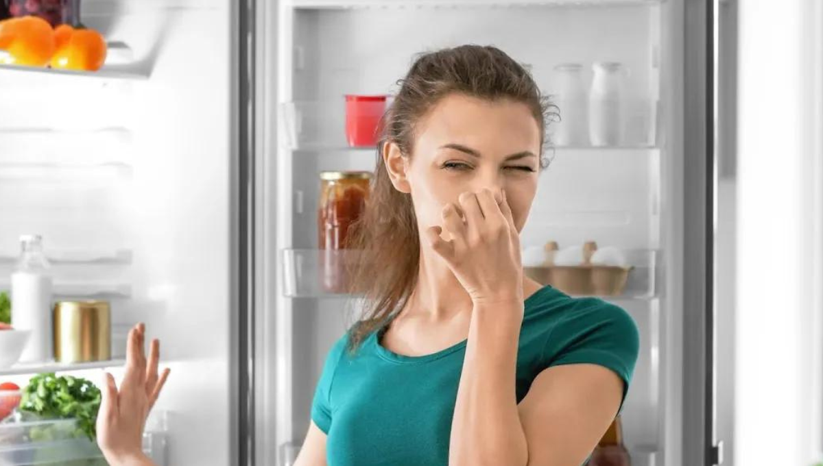 El truco de limpieza que dejara tu heladera sin ningún olor