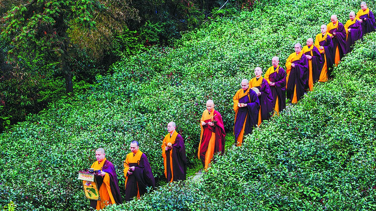 Los monjes del templo Jingshan, en Hangzhou, provincia de Zhejiang, realizan rituales de recolección de té para mantener vivas las antiguas tradiciones. PARA USO DE CHINA DAILY