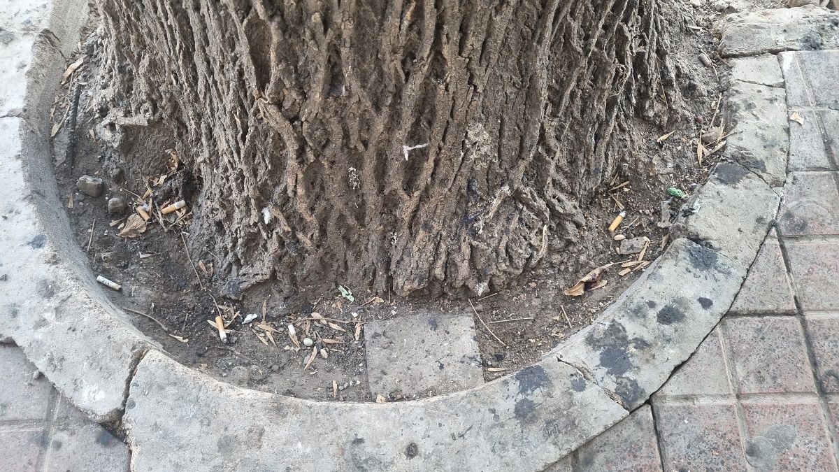 Desde 2020 hay un proyecto para crear un Plan de gestión ambiental de colillas de cigarrillos, pero nunca se trató. Desde 2020 hay un proyecto para crear un Plan de gestión ambiental de colillas de cigarrillos, pero nunca se trató.