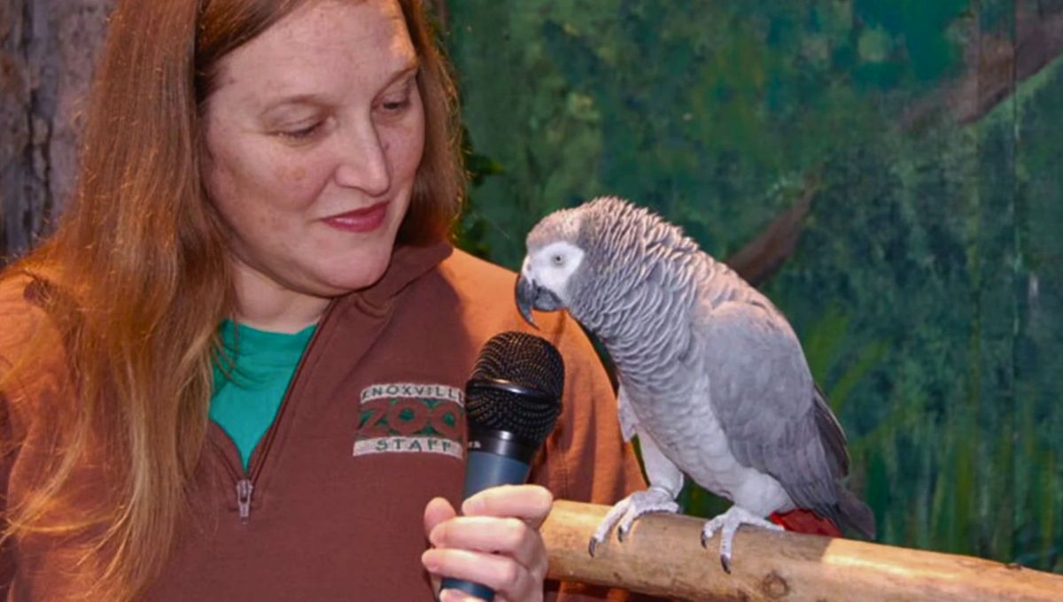 Einstein era considerado "una leyenda" por el zool&oacute;gico Knoxville.