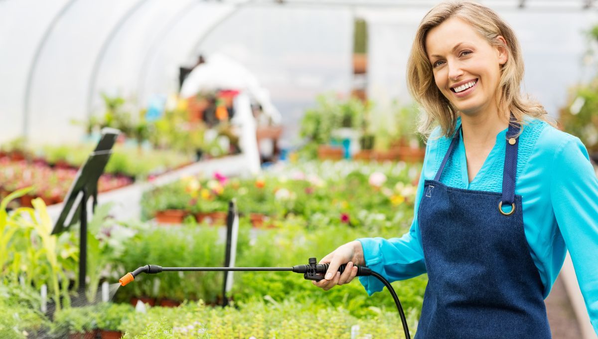 El insecticida casero que elimina las plagas y se hace con un solo ingrediente