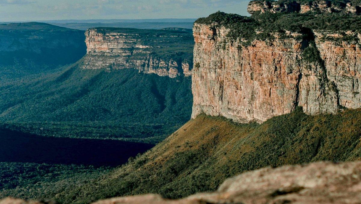 Como el quinto país más grande del mundo, Brasil alberga el Parque Nacional Chapada Diamantina. Como el quinto país más grande del mundo, Brasil alberga el Parque Nacional Chapada Diamantina.