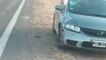 Una chica de 14 años murió atropellada por un Honda Civic en el Acceso Sur 