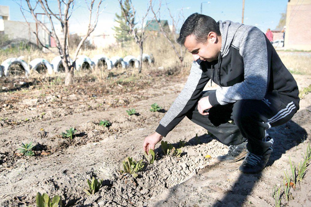 Una huerta comunitaria que cumplió 17 años