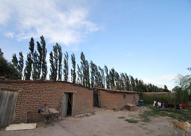 Subió el 55% la cantidad de pacientes con Chagas en San Rafael