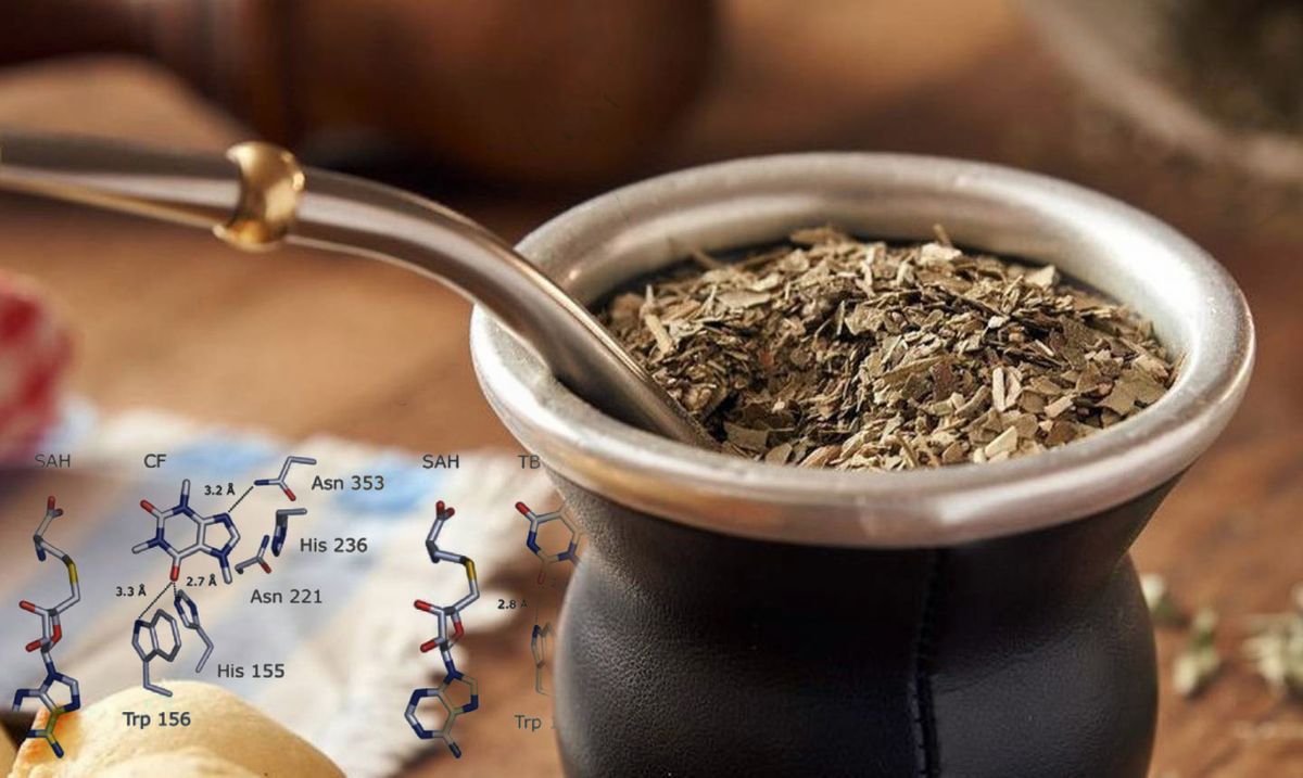 Los beneficios de sumar polen al mate