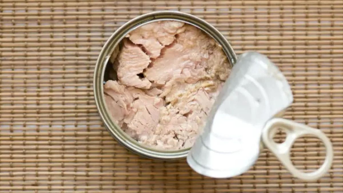 Semana Santa: el atún desmenuzado al natural es el ingrediente clave para elaborar unas sabrosas croquetas Semana Santa: el atún desmenuzado al natural es el ingrediente clave para elaborar unas sabrosas croquetas