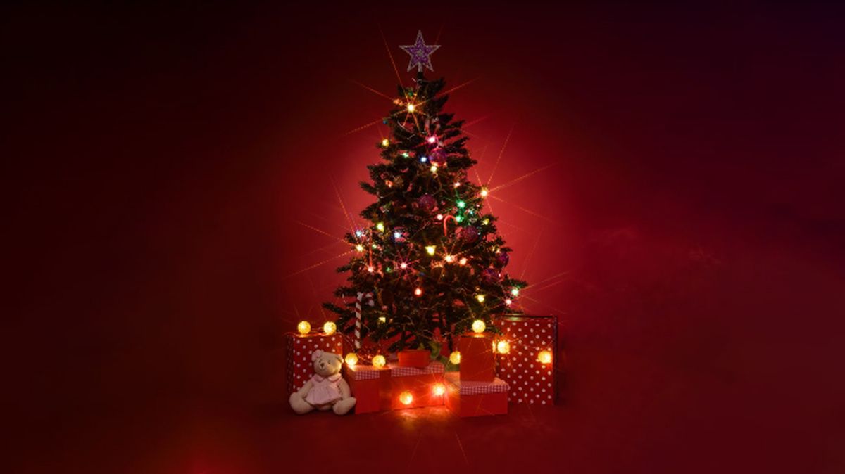 El árbol de Navidad es el protagonista de múltiples rituales. El árbol de Navidad es el protagonista de múltiples rituales. 