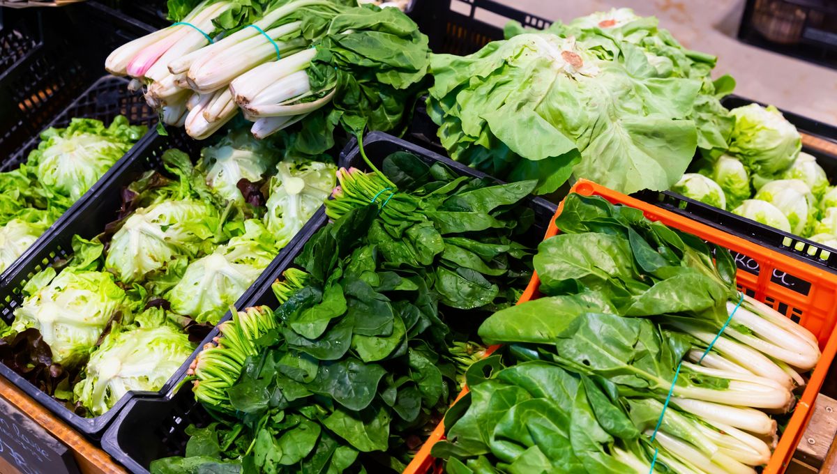 Los alimentos de hoja son fuente de minerales, vitaminas y nutrientes esenciales. Los alimentos de hoja son fuente de minerales, vitaminas y nutrientes esenciales.