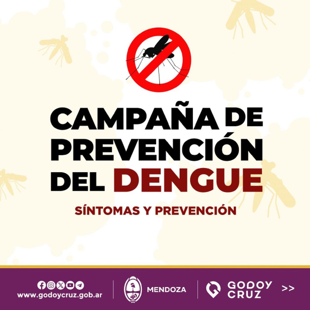La Municipalidad de Godoy Cruz visita los barrios y entrega folletos informativos de prevención y alerta contra el Dengue.