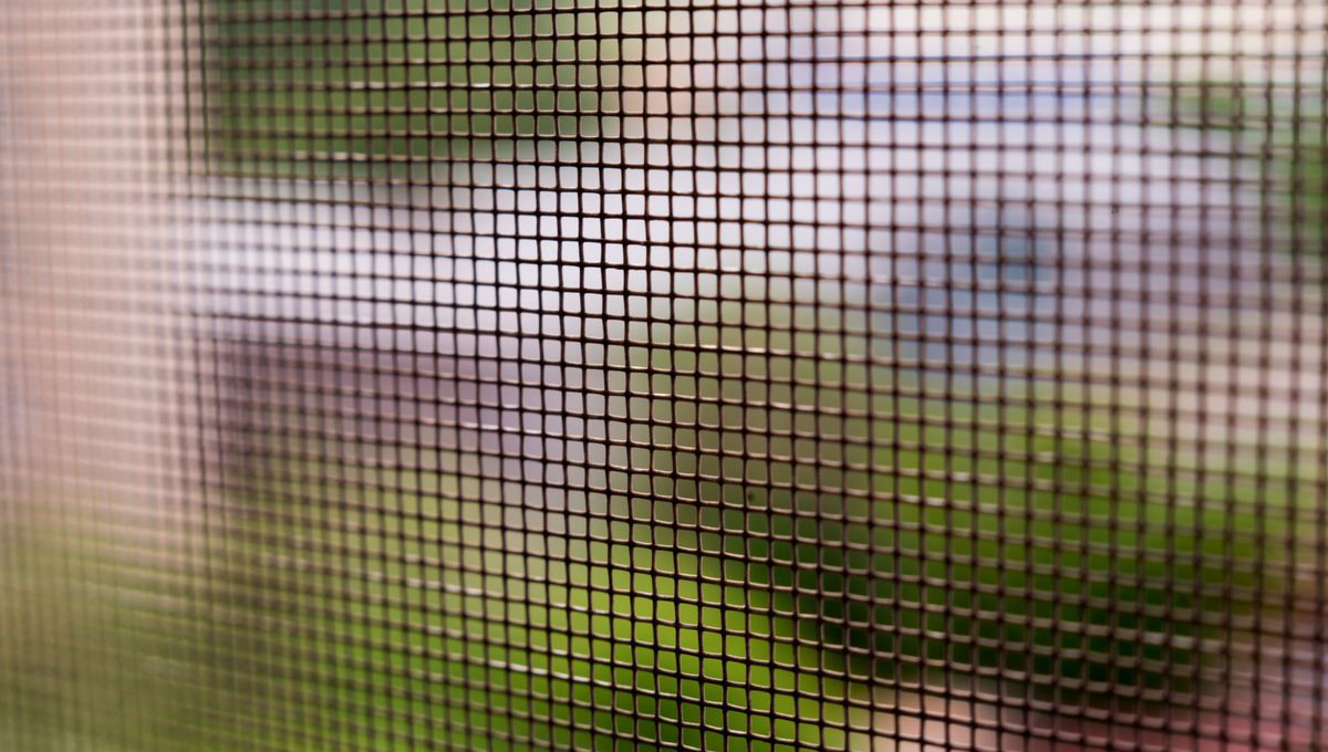 Truco para limpiar la mosquitera. Truco para limpiar la mosquitera. 