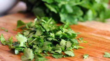 Más de 380 personas se intoxicaron en Estados Unidos por comer cilantro