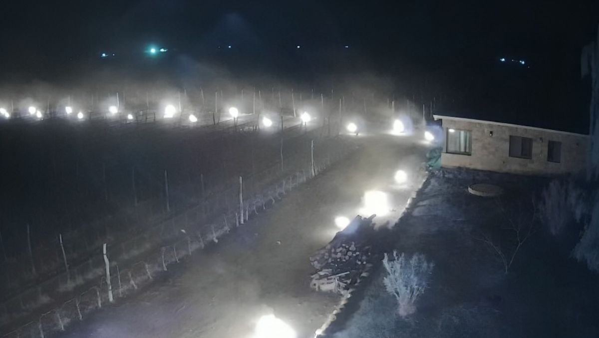 Heladas. El paisaje que se veía anoche en algunas zonas productivas de Mendoza.