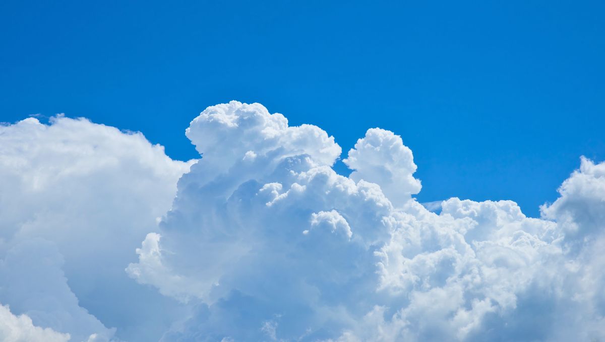 Aprender a leer las nubes sirve para detectar posibles lluvias, granizo o condiciones meteorol&oacute;gicas.&nbsp;