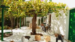 La enredadera que muchos tienen en el jardín de casa y puede bajar la temperatura sin gastar luz
