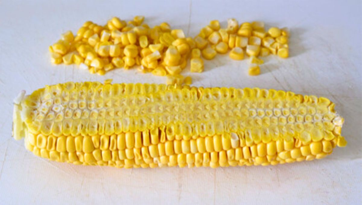 Cuando consumas choclo procura guardar su tronco. Cuando consumas choclo procura guardar su tronco.