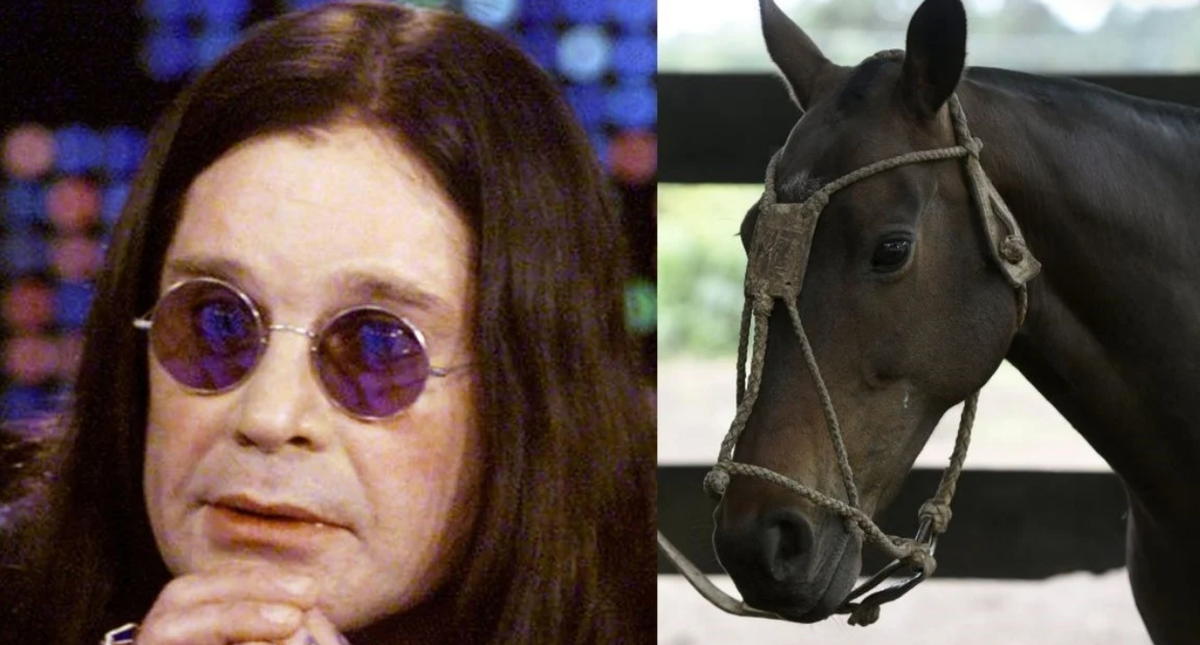 ¿Qué le habrá dicho? Ozzy Osbourne confesó que dejó las drogas después de hablar una hora con un caballo.