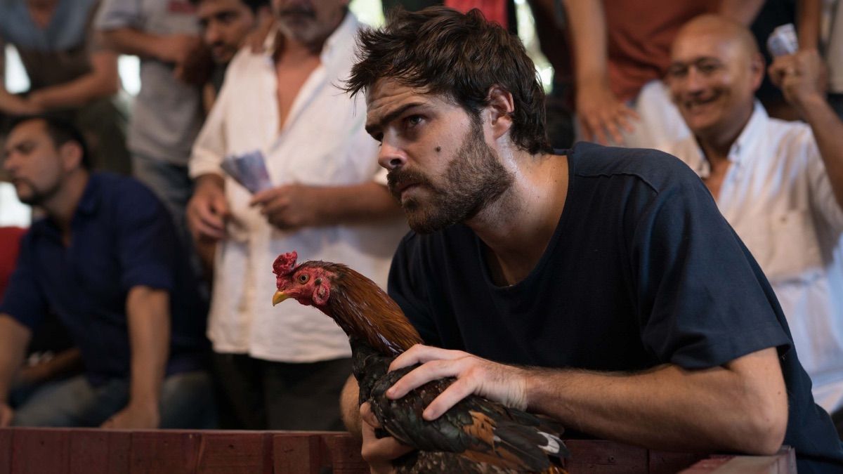 Streaming. Peter Lanzani la rompe toda en HBO Max con una gran serie. Streaming. Peter Lanzani la rompe toda en HBO Max con una gran serie.