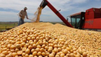 Productores de soja, amargados por decisiones de Trump