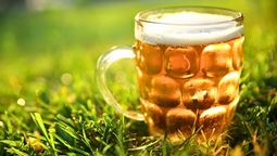 La cerveza puede ser utilizada con grandes beneficios en tu jardín La cerveza puede ser utilizada con grandes beneficios en tu jardín