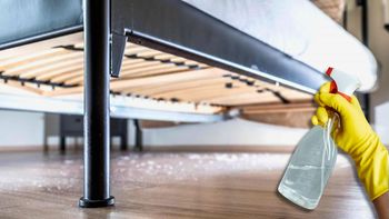 Por qué hay que rociar vinagre abajo de la cama: ¿qué significa? Por qué hay que rociar vinagre abajo de la cama: ¿qué significa?