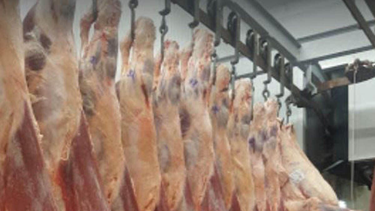 El precio de la carne bajó cerca del 15% esta semana.