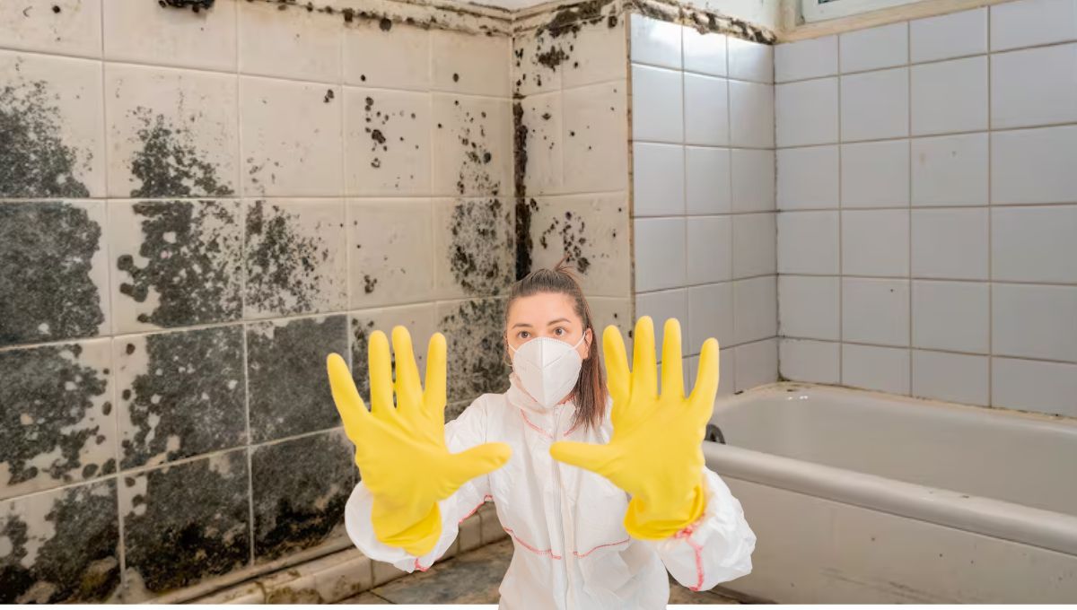 Hongos y moho del baño. ¿Como eliminarlos con este truco casero? Fuente canva Hongos y moho del baño. ¿Como eliminarlos con este truco casero? Fuente canva