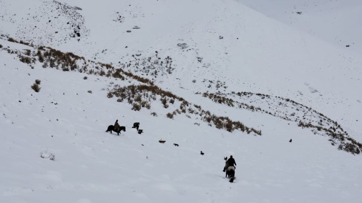 La zona del cerro Paraguay en Malargüe, donde Gendarmería realizó el rescate del arriero. La zona del cerro Paraguay en Malargüe, donde Gendarmería realizó el rescate del arriero.