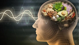 Tres alimentos para reforzar la memoria según Harvard