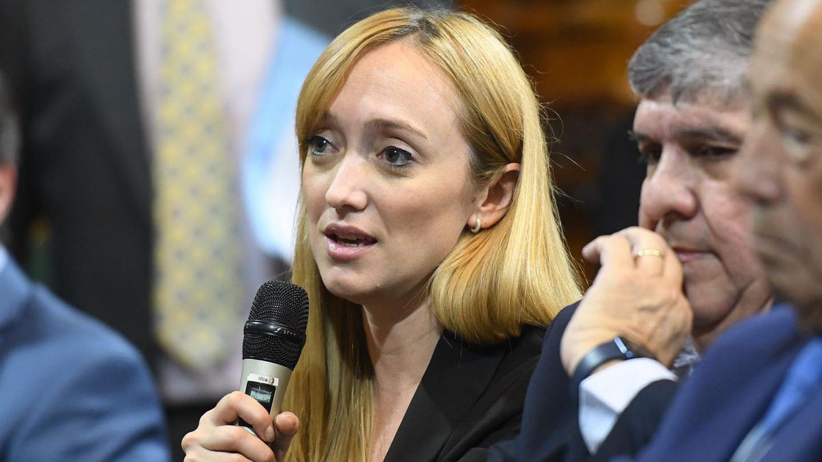 Anabel Fernández Sagasti defendió la posición del peronismo sobre las modificaciones en el Consejo de la Magistratura.