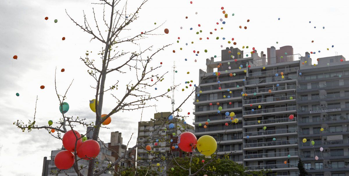 Los globos provocan el daño cuando caen, porque son comidos por los animales