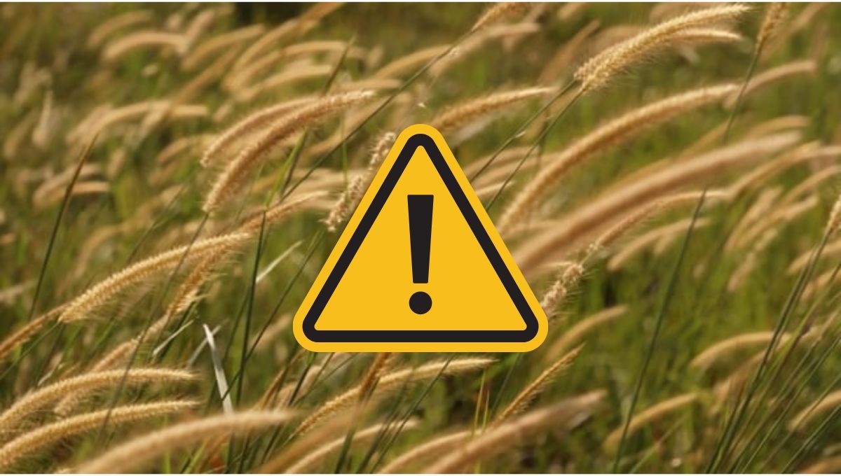 Varias provincias se encuentran en alerta