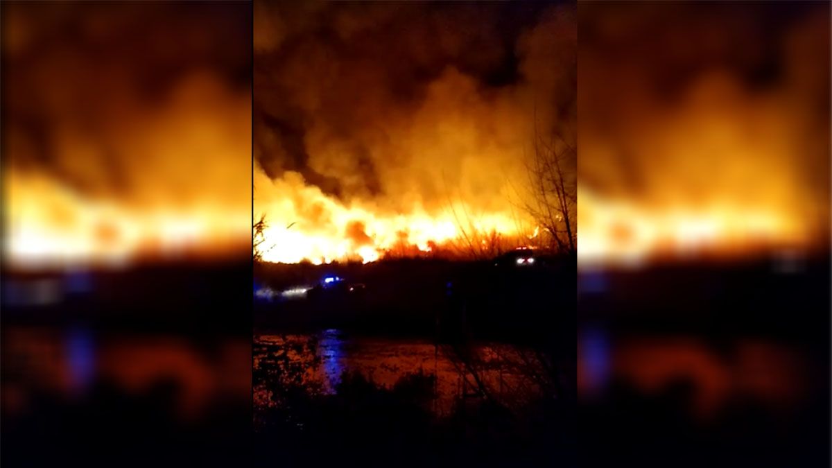 El incendio afectó zona de campo y no hubo heridos ni daños materiales.