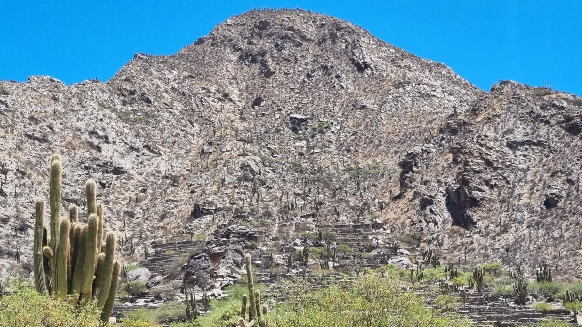 Ciudad Sagrada de Quilmes. (Foto: Federico Zalazar) Ciudad Sagrada de Quilmes. (Foto: Federico Zalazar)