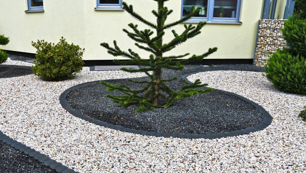 Las piedras no solo embellecen el paisaje, sino que también cumplen una función práctica en el cuidado de las plantas. Las piedras no solo embellecen el paisaje, sino que también cumplen una función práctica en el cuidado de las plantas.