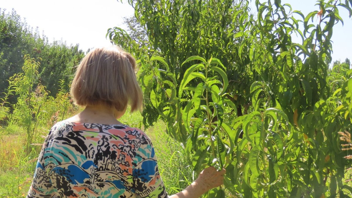 A través del fracking empezaron a contaminar las aguas y los suelos. (Foto: Sabrina Pozzi)