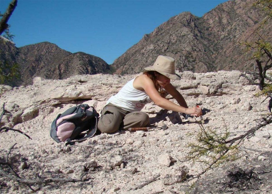 Nueva especie de rincosaurio, un reptil cuadrúpedo que vivió hace 230 millones de años y compartió hábitat con los dinosaurios, fue hallado por argentinos.