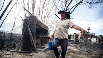 El Zonda dejó 44 incendios y 77 árboles caídos en Mendoza: los departamentos más afectados