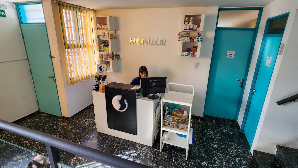 La veterinaria que atiende solamente gatos esta toda preparada para su atención. La veterinaria que atiende solamente gatos esta toda preparada para su atención.