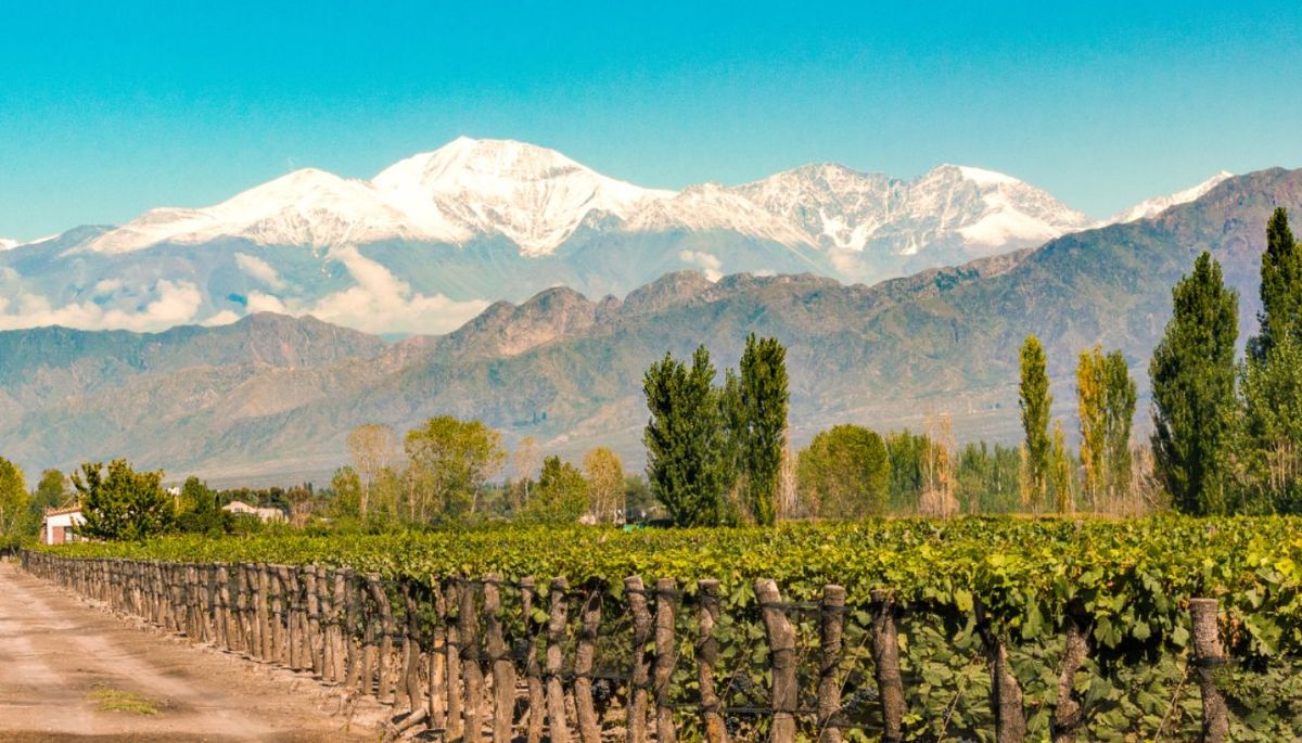 Top 5 cosas para hacer en San Rafael: para mendocinos y turistas