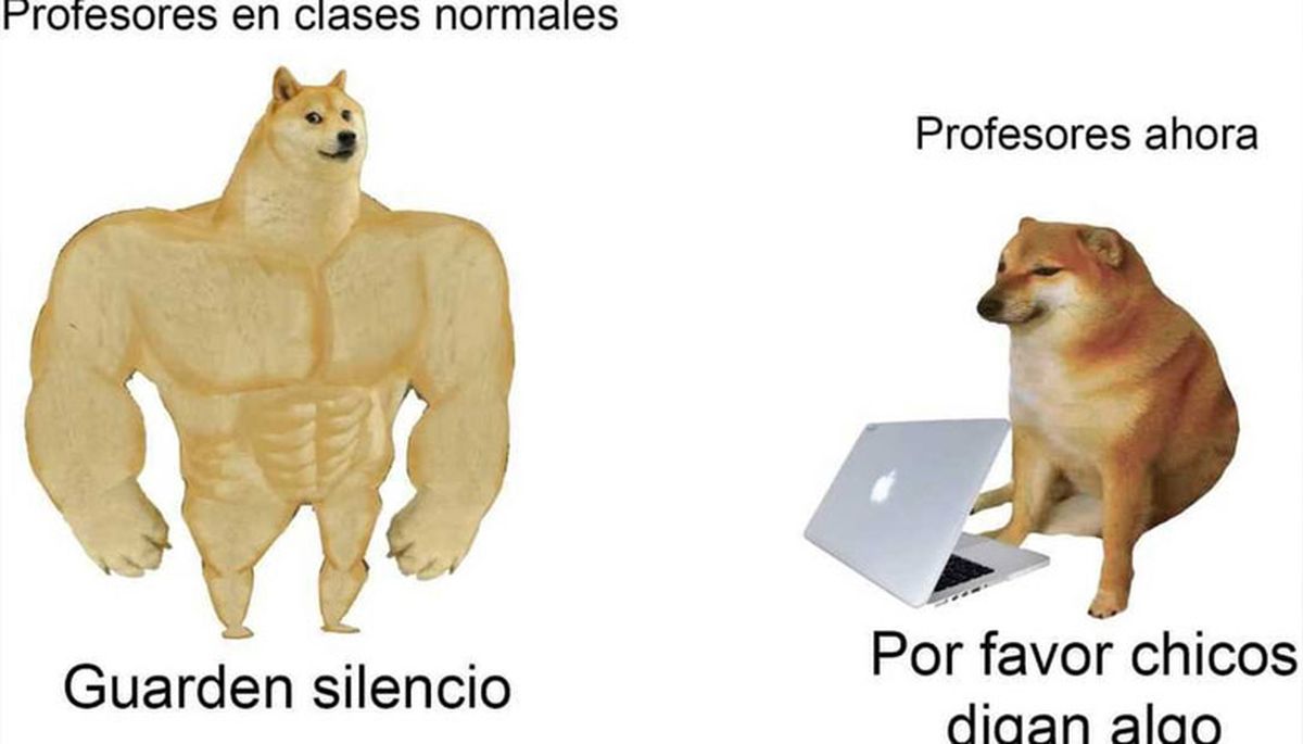 Los 10 mejores memes del perrito Balltze