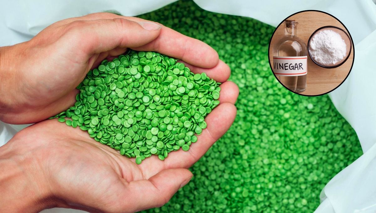 Crea plástico biodegradable en casa con dos ingredientes 