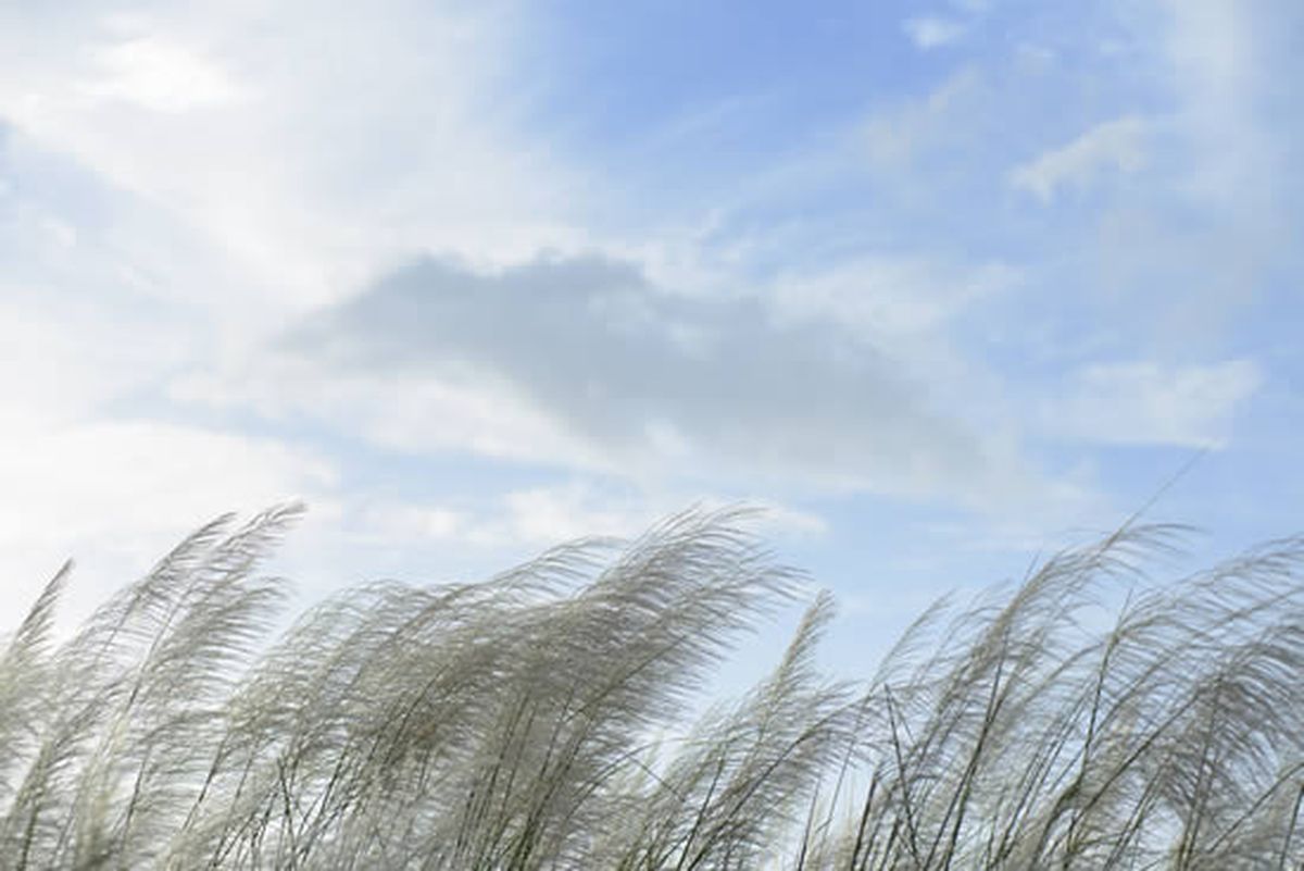 Tomá las medidas necesarias para cuidarte Tomá las medidas necesarias para cuidarte
