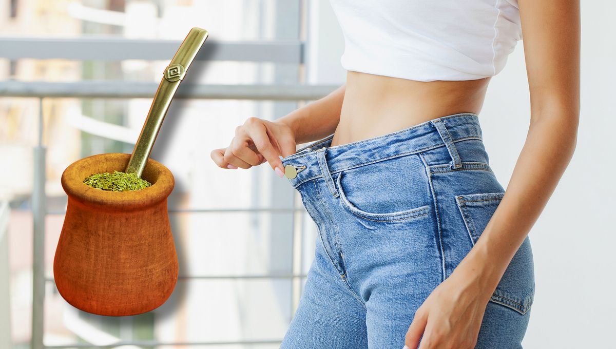 ¿Cómo puedo aprovechar los beneficios de la yerba mate para adelgazar?
